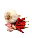 Free Italian Seasoning Royalty Free Stock Photo - 4473765