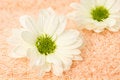 Free Wellness Stock Photography - 4488202