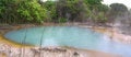 Free Geothermal Area Royalty Free Stock Image - 4489736