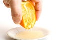 Free Juicy Orange Royalty Free Stock Images - 4494399