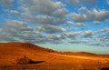 Free Grassland Of China Royalty Free Stock Photography - 4495047