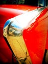 Free Tail Fin Royalty Free Stock Image - 4498556