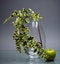 Free Glass Vase With Apple And Green Stem On Gray Stock Photography - 4490092