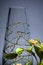 Free Decorated Glass Vase With Stem Of Berries On Gray Royalty Free Stock Images - 4490139