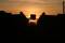 Free Basketball Sunset Stock Photo - 457550