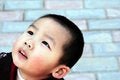 Free Look Up Royalty Free Stock Image - 4505436