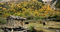 Free A Shelter In Mountains Stock Images - 4511244