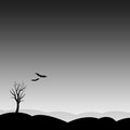 Free Bat At Night Stock Image - 4512761
