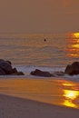 Free Distant Surfer Stock Photography - 4538462