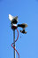 Free Antenna And Camera Stock Image - 4537881