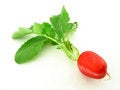 Free Radish Royalty Free Stock Image - 4540876