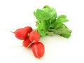 Free Radish Royalty Free Stock Images - 4540889