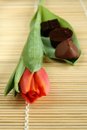 Free Tulip And Pralines Royalty Free Stock Image - 4541316