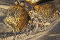Free Rocks In A Rivulet Stock Image - 4543841