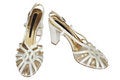 Free Fashionable Female Shoes Royalty Free Stock Photography - 4545847