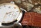 Free Watch On Tree Bark 8055 Royalty Free Stock Image - 4547046