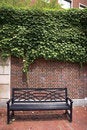 Free Chair Royalty Free Stock Image - 4559826