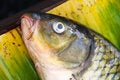 Free Fish At Marketplace Royalty Free Stock Images - 4561259