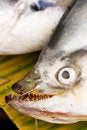 Free Fish At Marketplace Stock Photos - 4561293