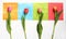 Free 4 Tulips On 4 Squares - Colorful Stock Photos - 4560353