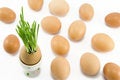 Free The Egg In Egg-cup Royalty Free Stock Photo - 4576235