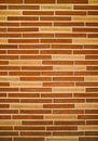 Free Slim Brick Wall Texture Stock Images - 4576324