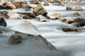 Free River Rocks Stock Photo - 4578790