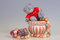 Free Bear And  Flower-pot Royalty Free Stock Photo - 4591545