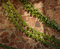Free Stone Wall Royalty Free Stock Photography - 4591847