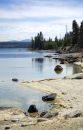 Free Edge Of Yellowstone Lake Royalty Free Stock Photography - 462537