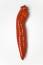 Free Chili Royalty Free Stock Photo - 462505