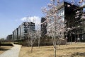 Free Hi-Tech Garden Of Beijing. Royalty Free Stock Photo - 4601985
