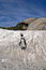Free African Penguins On Rock Royalty Free Stock Photos - 4602928