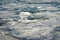 Free Frozen Sea Royalty Free Stock Photos - 4603788