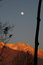 Free Fullmoon Rise And Vivid Sunset On Snowpeaked In Royalty Free Stock Photography - 4605727