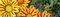 Free Flower Bunch Royalty Free Stock Photo - 4607105