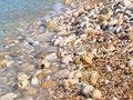 Free Pebble Stock Image - 4612121