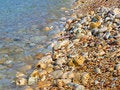 Free Pebble Royalty Free Stock Photos - 4612188