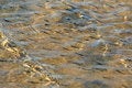 Free Sunny Day At Shallow Sea Royalty Free Stock Photo - 4612485