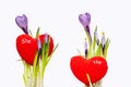 Free I Love You Stock Photos - 4614163