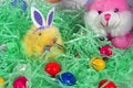 Free Easter Tradition Stock Photography - 4618702