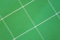 Free Green Cotton Pattern Stock Images - 4619864