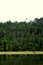 Free Horses Between Forest And The Lake Stock Photos - 4614043