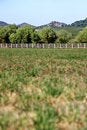 Free Rural Farm Field Stock Images - 4626814