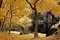 Free Infrared Photo – Lake, Rock, Reflection And Tree Stock Photo - 4623090