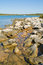 Free Stone Coastline Royalty Free Stock Photo - 4625205