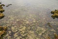 Free Abstract Marine Landcape Royalty Free Stock Photography - 4631237