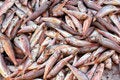 Free Red Mullets Royalty Free Stock Image - 4639006