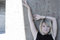 Free Fashion Silouette Stock Photo - 4631610