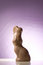 Free Sweet Bunny Stock Photos - 4636253